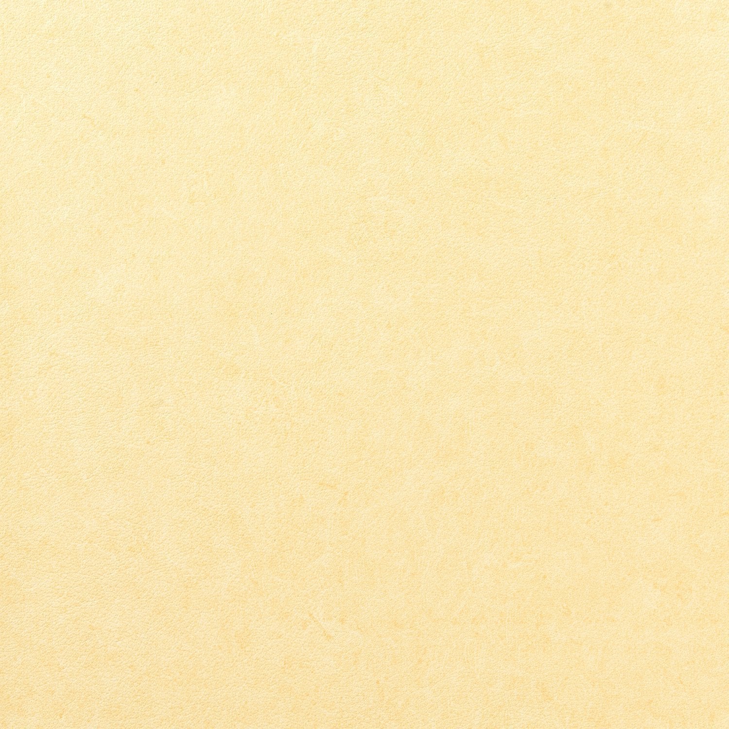 Pleso - 1026.01 - Wallcovering - Vescom - Kube Contract