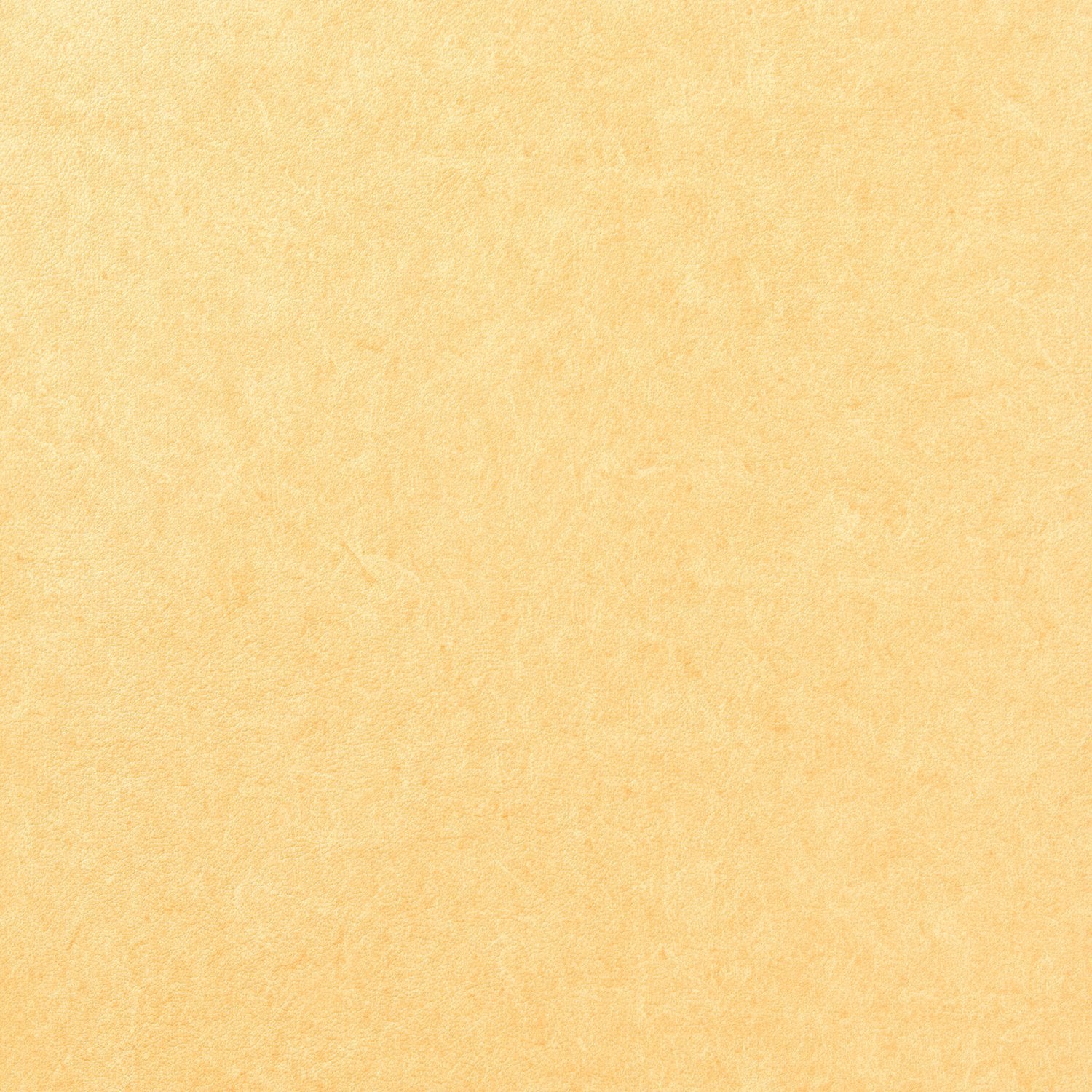 Pleso - 1026.02 - Wallcovering - Vescom - Kube Contract