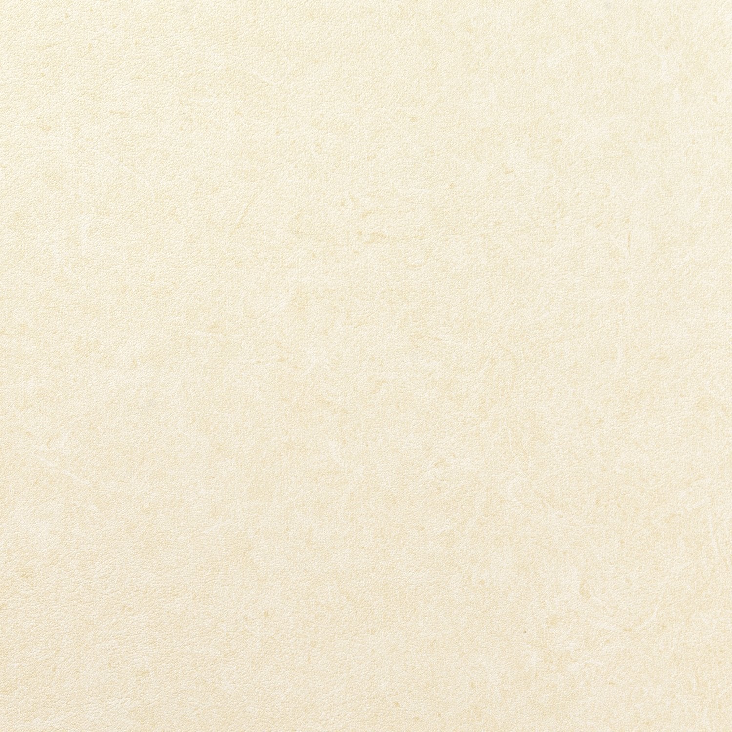 Pleso - 1026.10 - Wallcovering - Vescom - Kube Contract