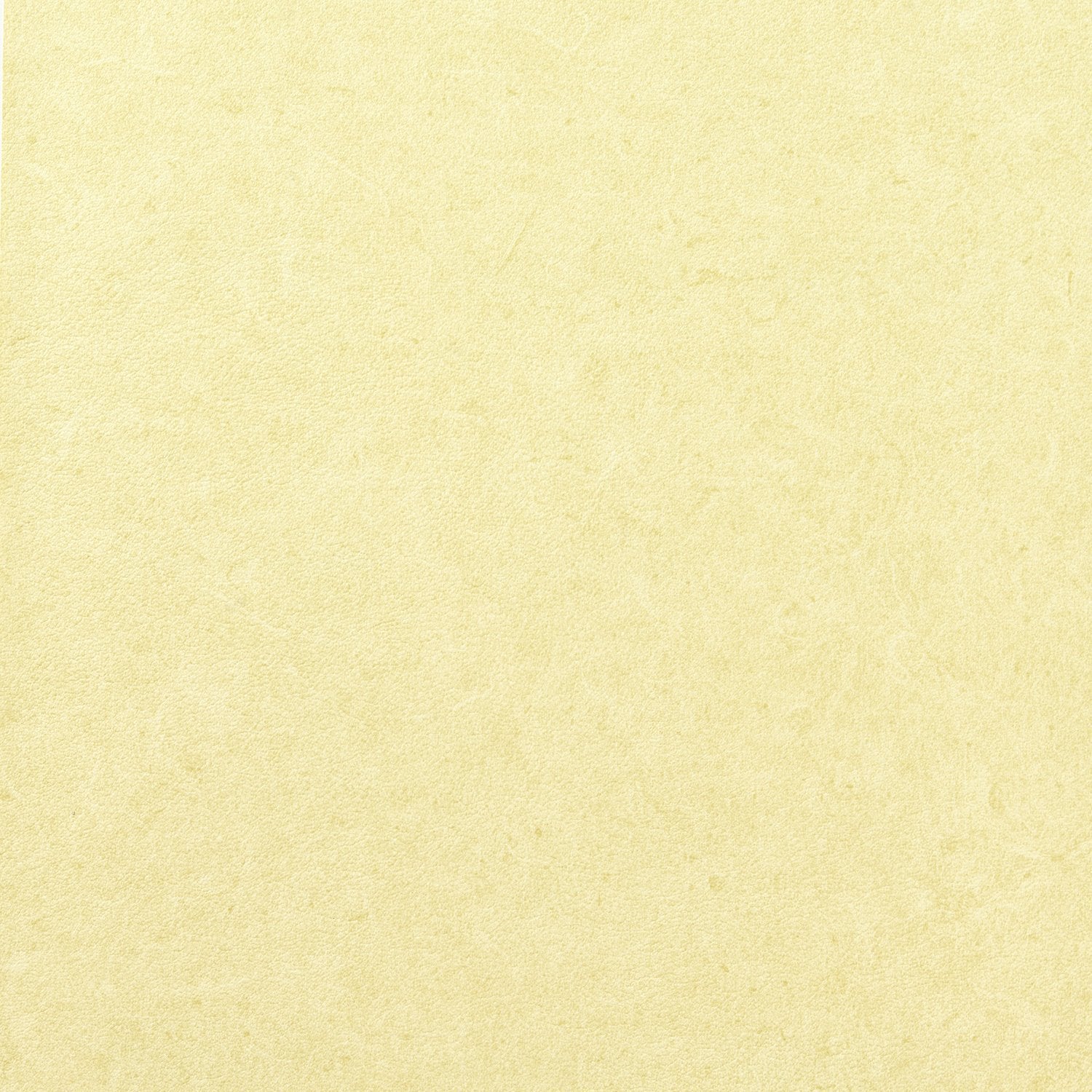 Pleso - 1026.21 - Wallcovering - Vescom - Kube Contract