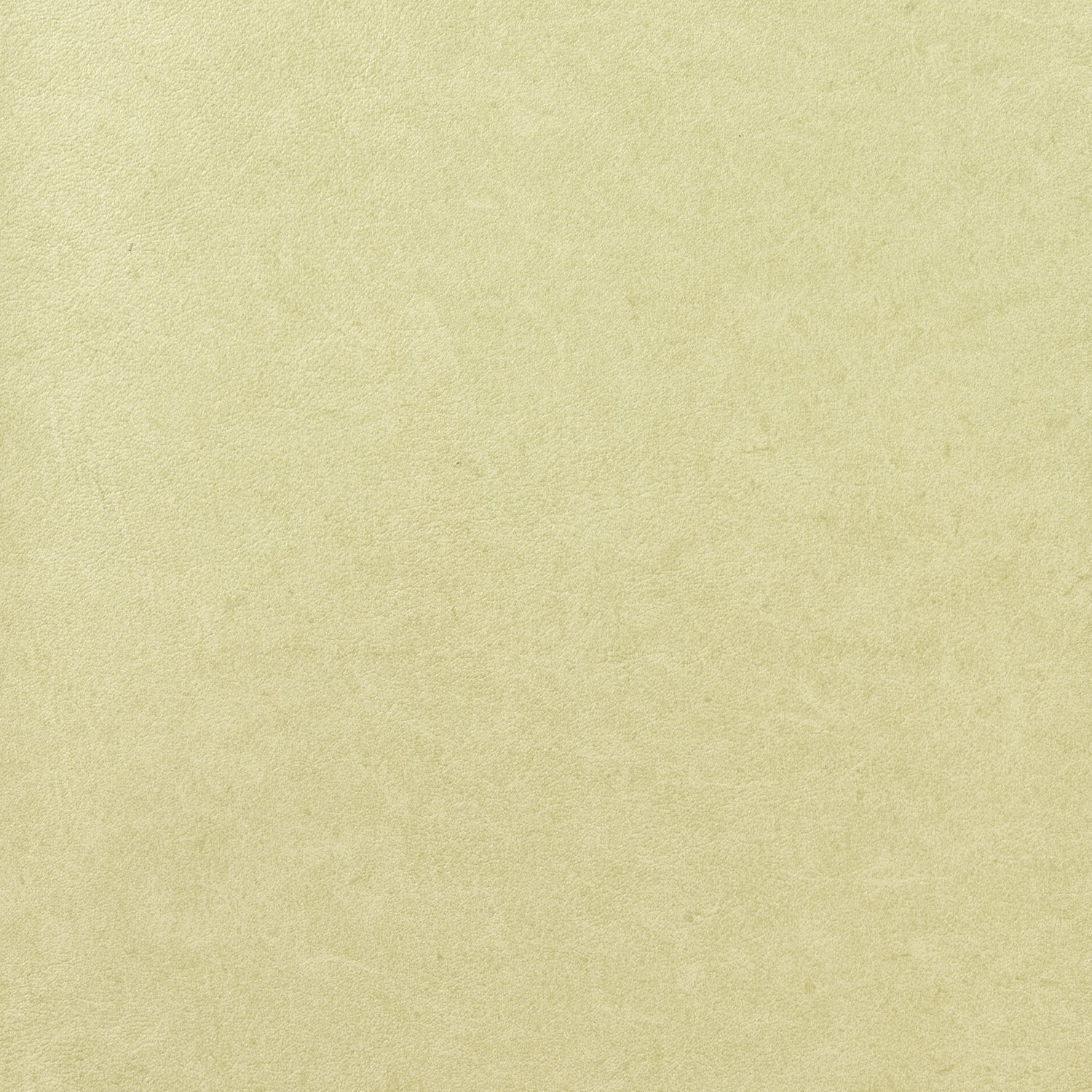 Pleso - 1026.24 - Wallcovering - Vescom - Kube Contract