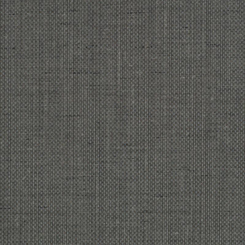 Raising Cain - Y46211 - Wallcovering - Vycon - Kube Contract
