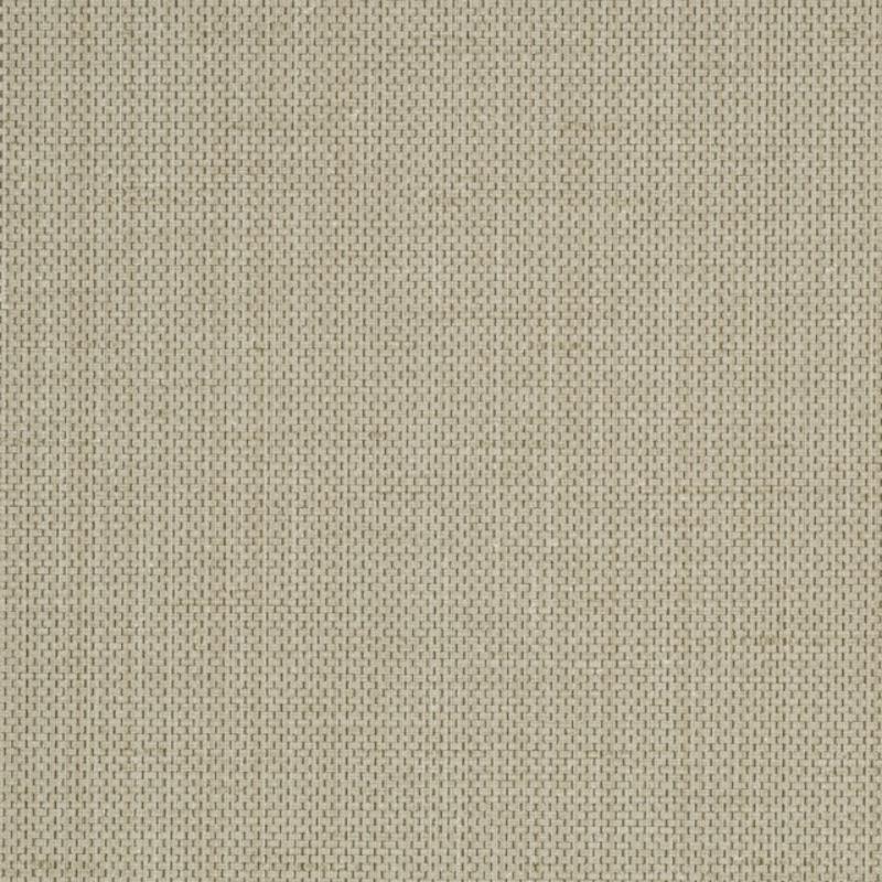 Raising Cain - Y46215 - Wallcovering - Vycon - Kube Contract