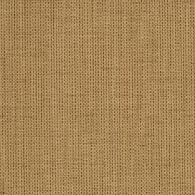 Raising Cain - Y46223 - Wallcovering - Vycon - Kube Contract