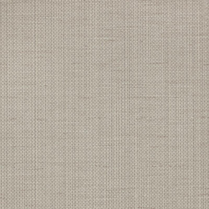 Raising Cain - Y47342 - Wallcovering - Vycon - Kube Contract