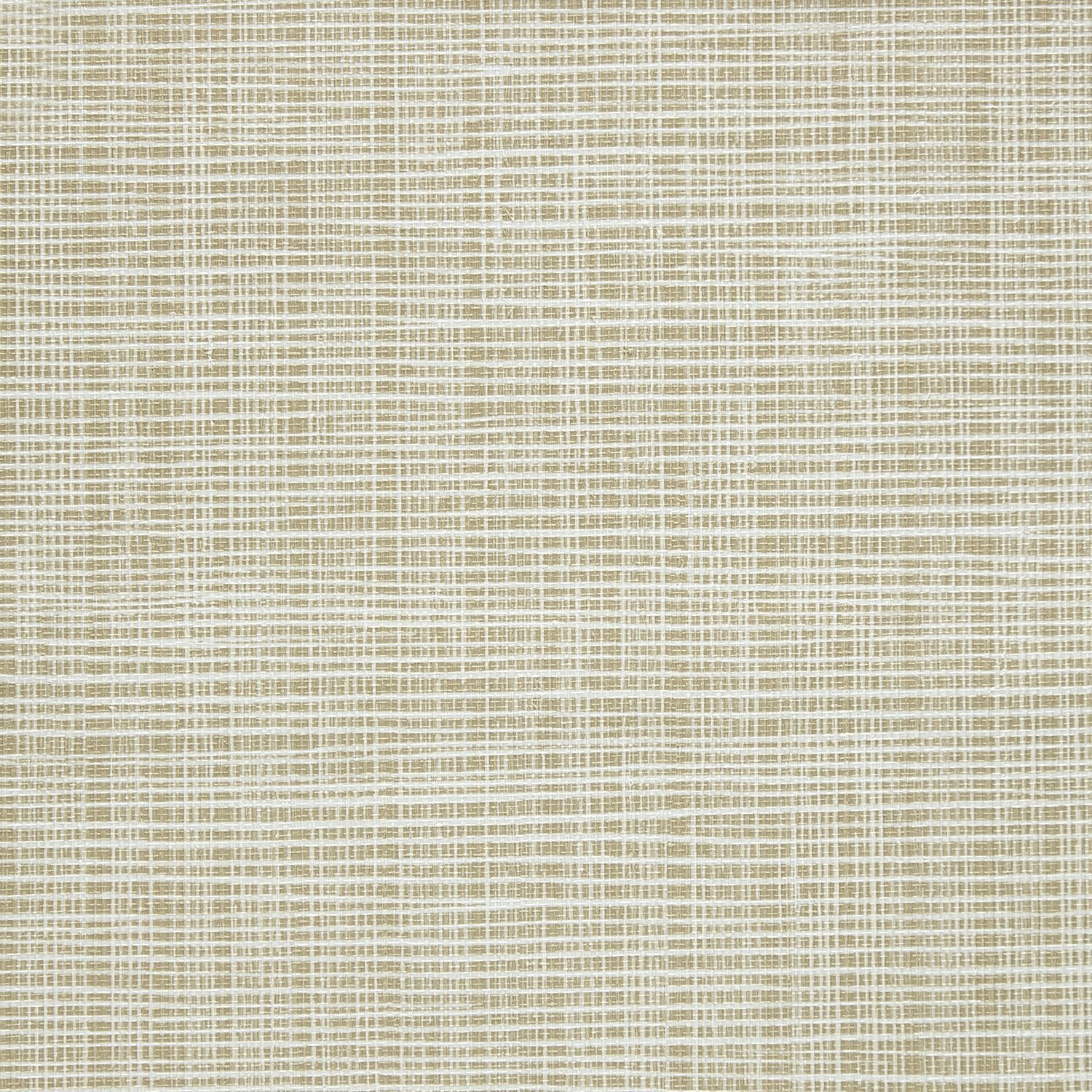 Sass-A-Grass - Y47450 - Wallcovering - Vycon - Kube Contract