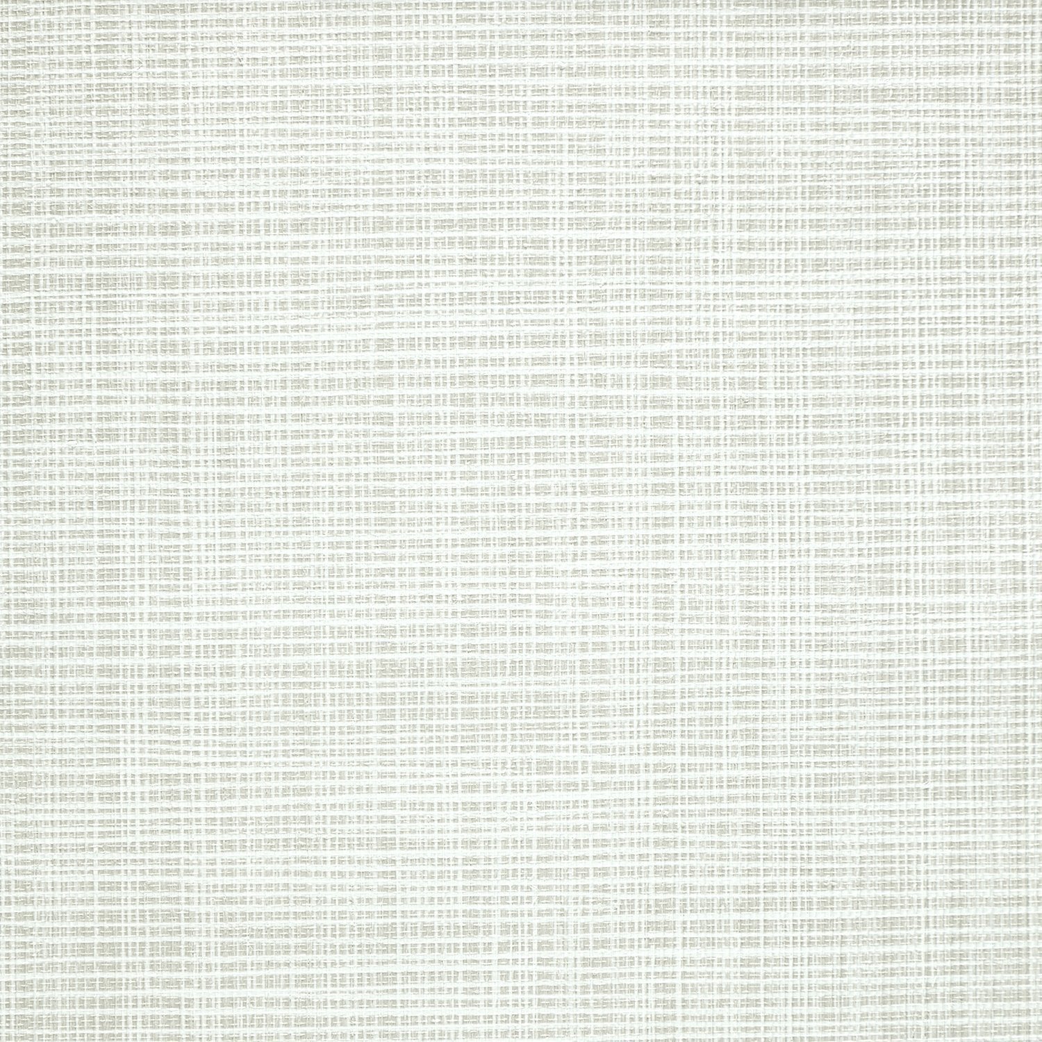 Sass-A-Grass - Y47454 - Wallcovering - Vycon - Kube Contract
