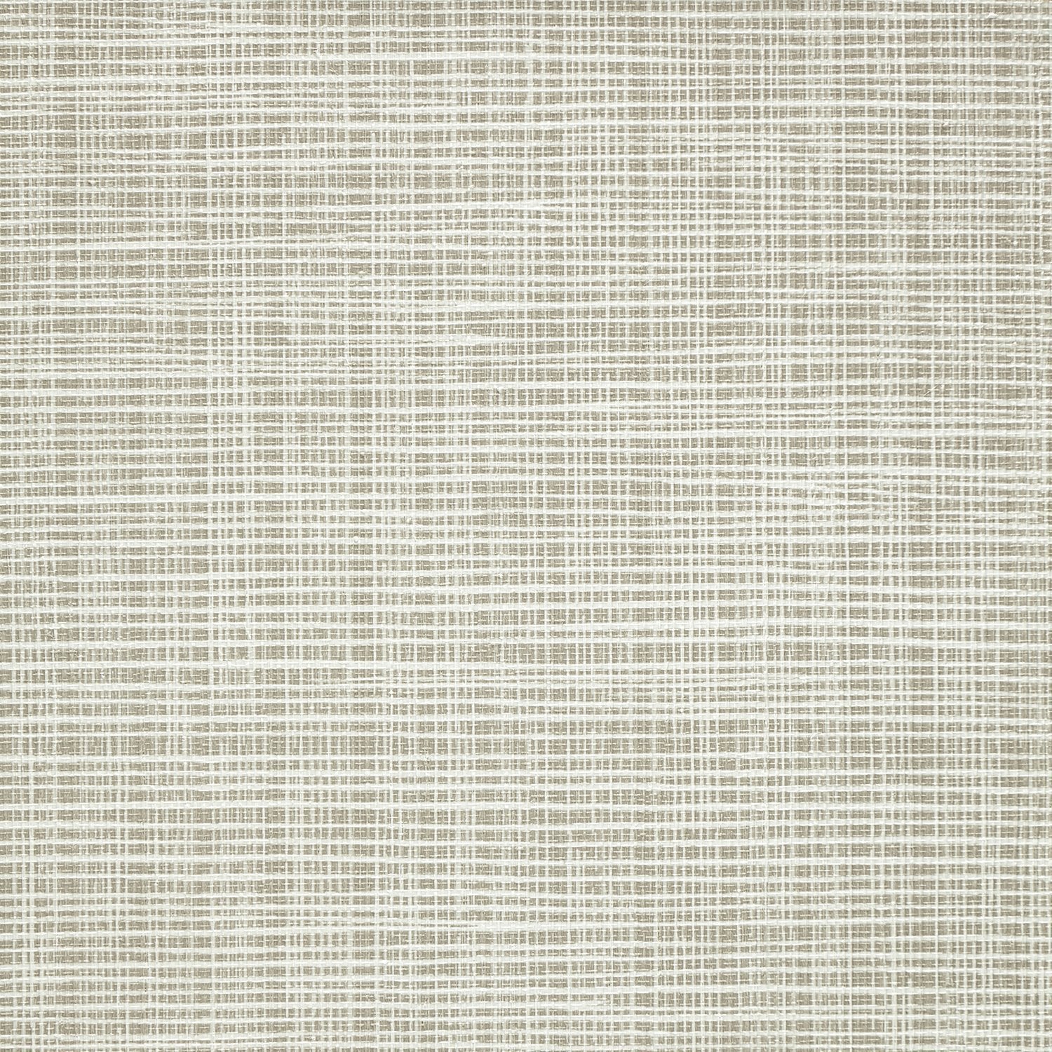 Sass-A-Grass - Y47463 - Wallcovering - Vycon - Kube Contract