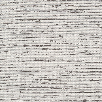 Y47669