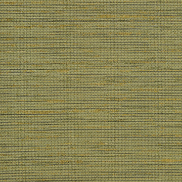 Y47676