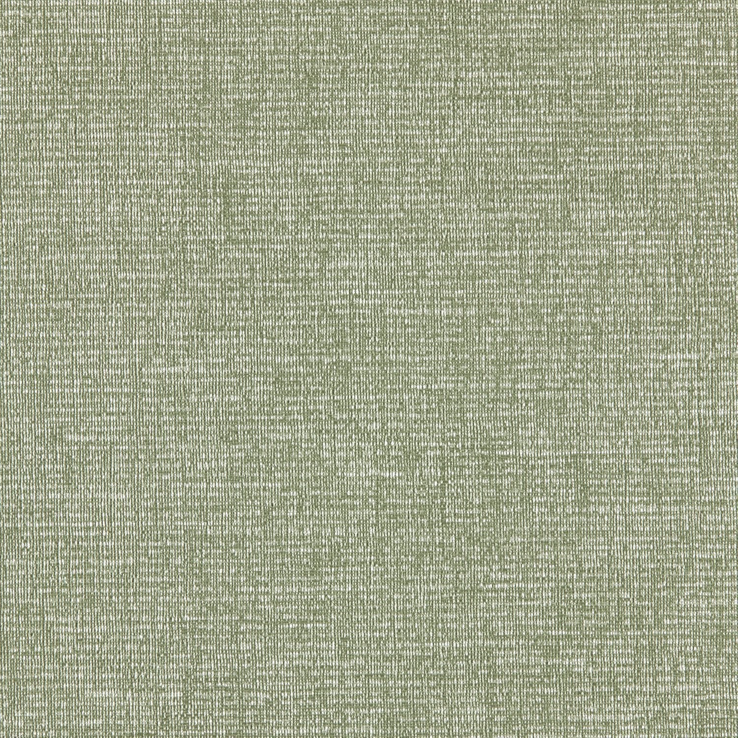 Spectrum - Y46906 - Wallcovering - Vycon - Kube Contract