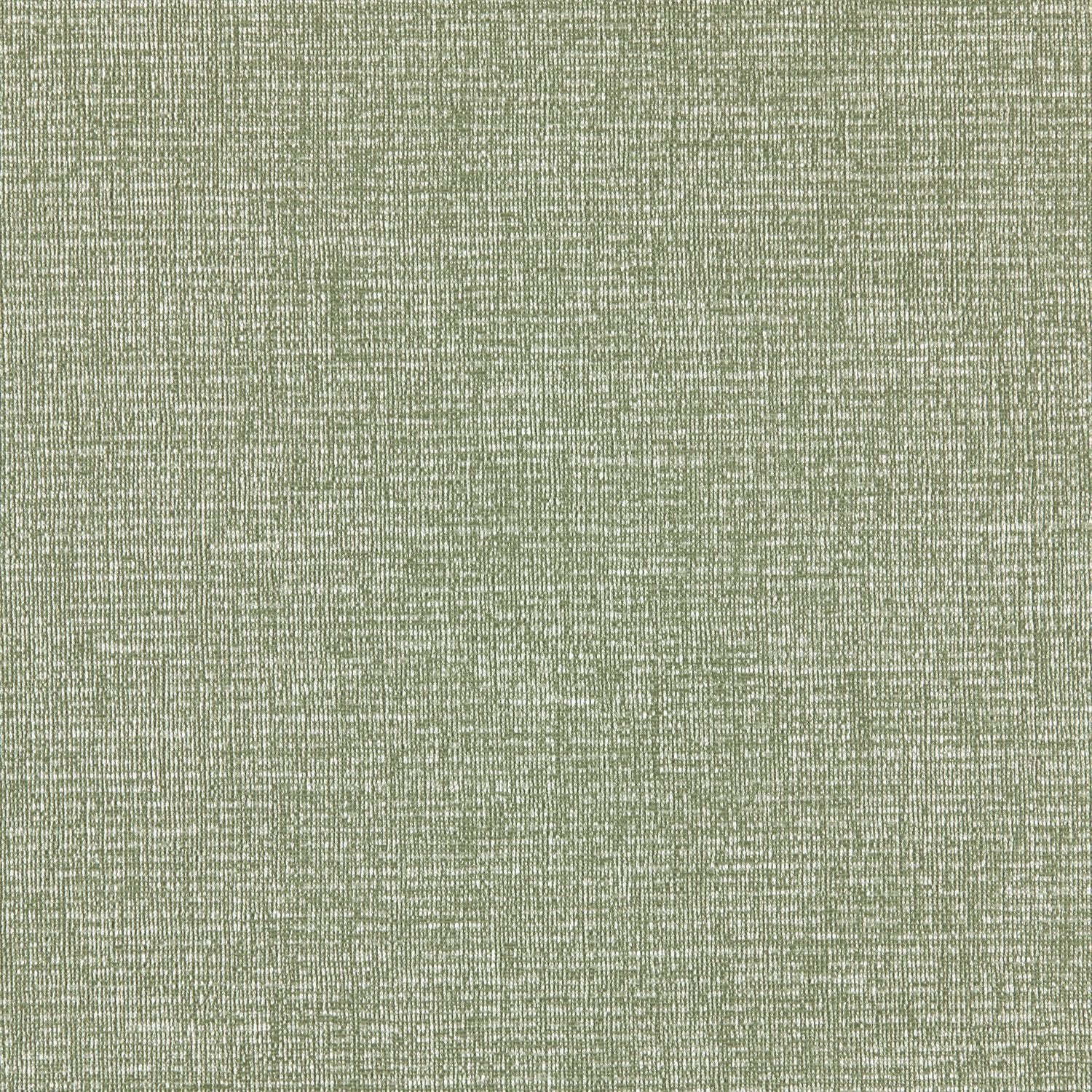 Spectrum - Y46906 - Wallcovering - Vycon - Kube Contract