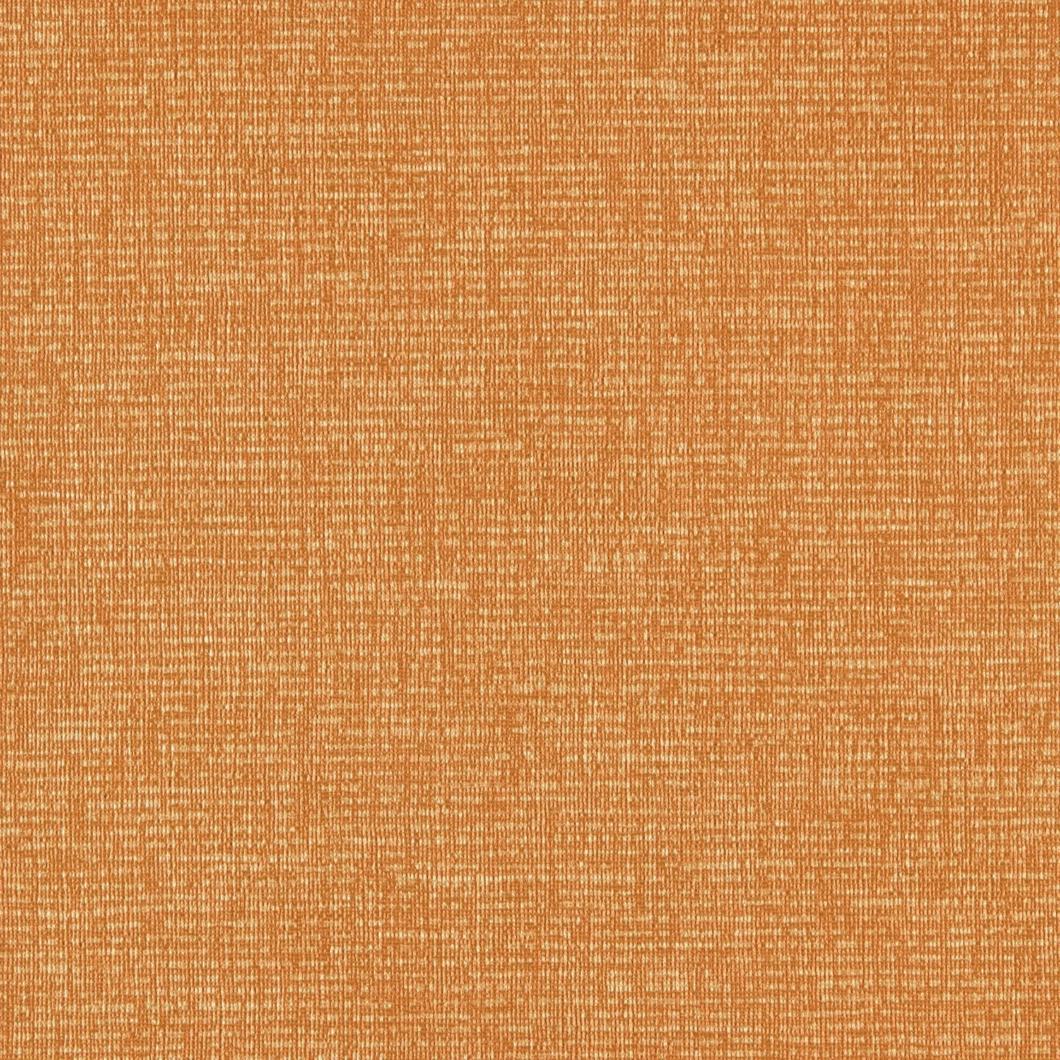 Spectrum - Y46925 - Wallcovering - Vycon - Kube Contract