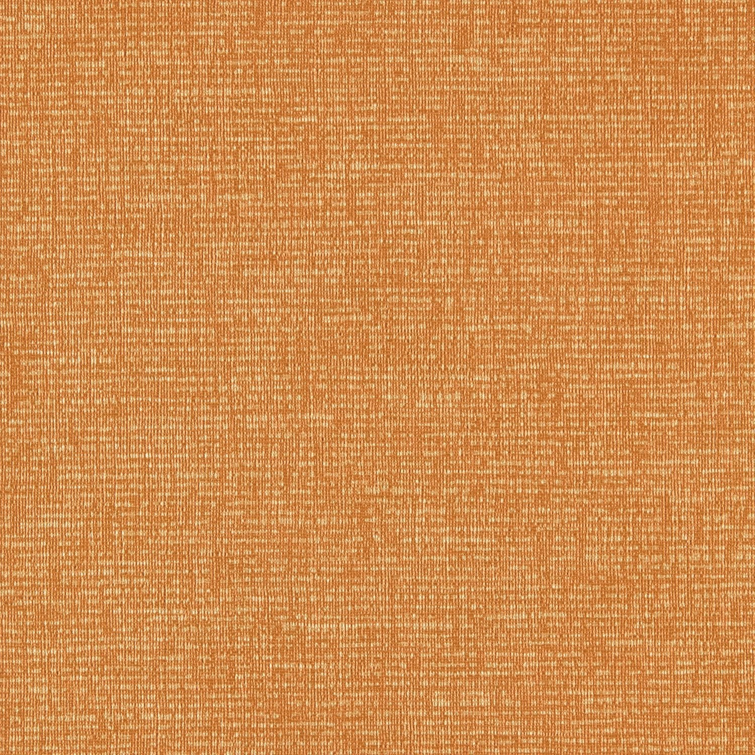 Spectrum - Y46925 - Wallcovering - Vycon - Kube Contract
